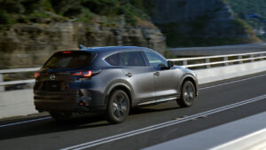 Mazda CX-8 - Ảnh 8